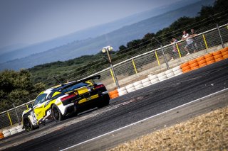 #14 Sainteloc Junior Team FRA Audi R8 LMS GT4 Cyril Saleilles FRA Adrien Tambay FRA Pro-Am, Free Practice 2
 | SRO / Dirk Bogaerts Photography