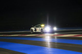 #29 Herrero Racing FRA Audi R8 LMS GT4 Mateo Herrero FRA Thibaut Bossy FRA Silver, Free Practice 2
 | SRO / Patrick Hecq Photography