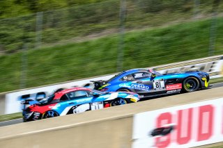 #81 AKKODIS ASP Team Mercedes-AMG GT4 Simon Gachet Eric Debard PRO-AM, Free Practice 2
 | SRO / Dirk Bogaerts Photography