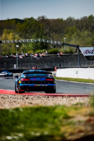 #42 SAINTELOC RACING Audi R8 LMS GT4 Gregory Guilvert Gregory Faessel PRO-AM, Free Practice 2, GT4
 | SRO / TWENTY-ONE CREATION - Jules Benichou