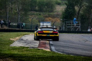 #14 SAINTELOC RACING Audi R8 LMS GT4 Roee Meyuhas Erwan Bastard SILVER, GT4, Qualifyings
 | SRO / TWENTY-ONE CREATION - Jules Benichou