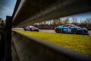 #42 SAINTELOC RACING Audi R8 LMS GT4 Gregory Guilvert Gregory Faessel PRO-AM, GT4, Race 1
 | Jules_Benichou