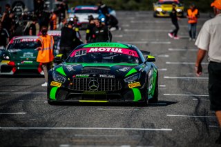 #64 Team JOUFFRUIT by Vic'Team - Eric Tremoulet - Olivier Jouffret - Mercedes-AMG GT4 - PRO-AM, GT4 - FFSA, Grid Walk
 | SRO / TWENTY-ONE CREATION - Jules Benichou