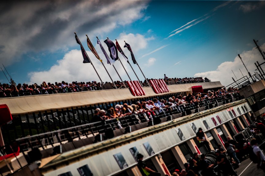 Ambiance, Paddock
