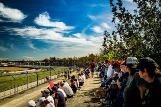 #42 - Sainteloc Racing - Gregory Guilvert - Christophe Hamon - Audi R8 LMS GT4 - PRO-AM, Ambiance, Course 1, GT4 France
 | © SRO - TWENTY-ONE CREATION | Jules Benichou