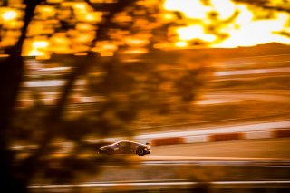#42 - Sainteloc Racing - Gregory Guilvert - Christophe Hamon - Audi R8 LMS GT4 - Pro-Am, FFSA GT
 | © SRO - TWENTY-ONE CREATION | Jules Benichou