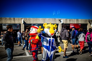 Ambiance, Autographe Session, FFSA GT
 | © SRO - TWENTY-ONE CREATION | Jules Benichou