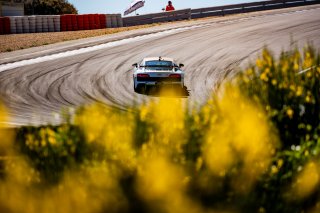 #111 - CSA RACING - Gael Castelli - Rodolphe Wallgren - Audi R8 LMS GT4 - Pro-Am, FFSA GT
 | © SRO - TWENTY-ONE CREATION | Jules Benichou