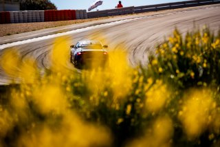 #41 - VSF Sports - Amplitude automobiles - Gregory Curson Faessel - Florian Teillais - BMW M4 GT4 (G82) - Am, FFSA GT
 | © SRO - TWENTY-ONE CREATION | Jules Benichou
