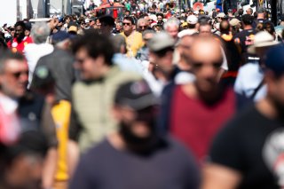 AMBIANCE
 | bendemacedo