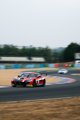 #333 - CMR - CANONICA Xavier - Ginetta G56 GTA - GCup, #FFSA GT
 | bendemacedo