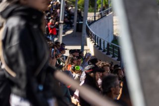 Ambiance, Tribunes
 | SRO / Luc SERPETTE