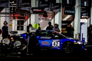 #42 SAINTELOC RACING Audi R8 LMS GT4 Gregory Guilvert Gregory Curson Faessel PRO-AM, Pitlane
 | SRO / Patrick Hecq Photography