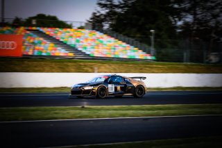 #111 CSA RACING Audi R8 LMS GT4 Alexandre Cougnaud Gael Castelli SILVER
 | SRO / Patrick Hecq Photography