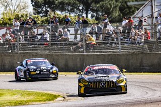 #46 - ARMADA Racing Division - Yann Zimmer - Clement Berlie - Mercedes AMG GT4 - PRO-AM, Essai libre 2
 | SRO / Patrick Hecq Photography