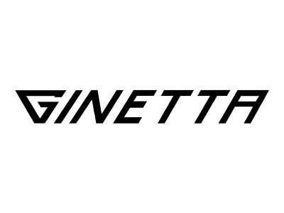 Ginetta G56 GT4